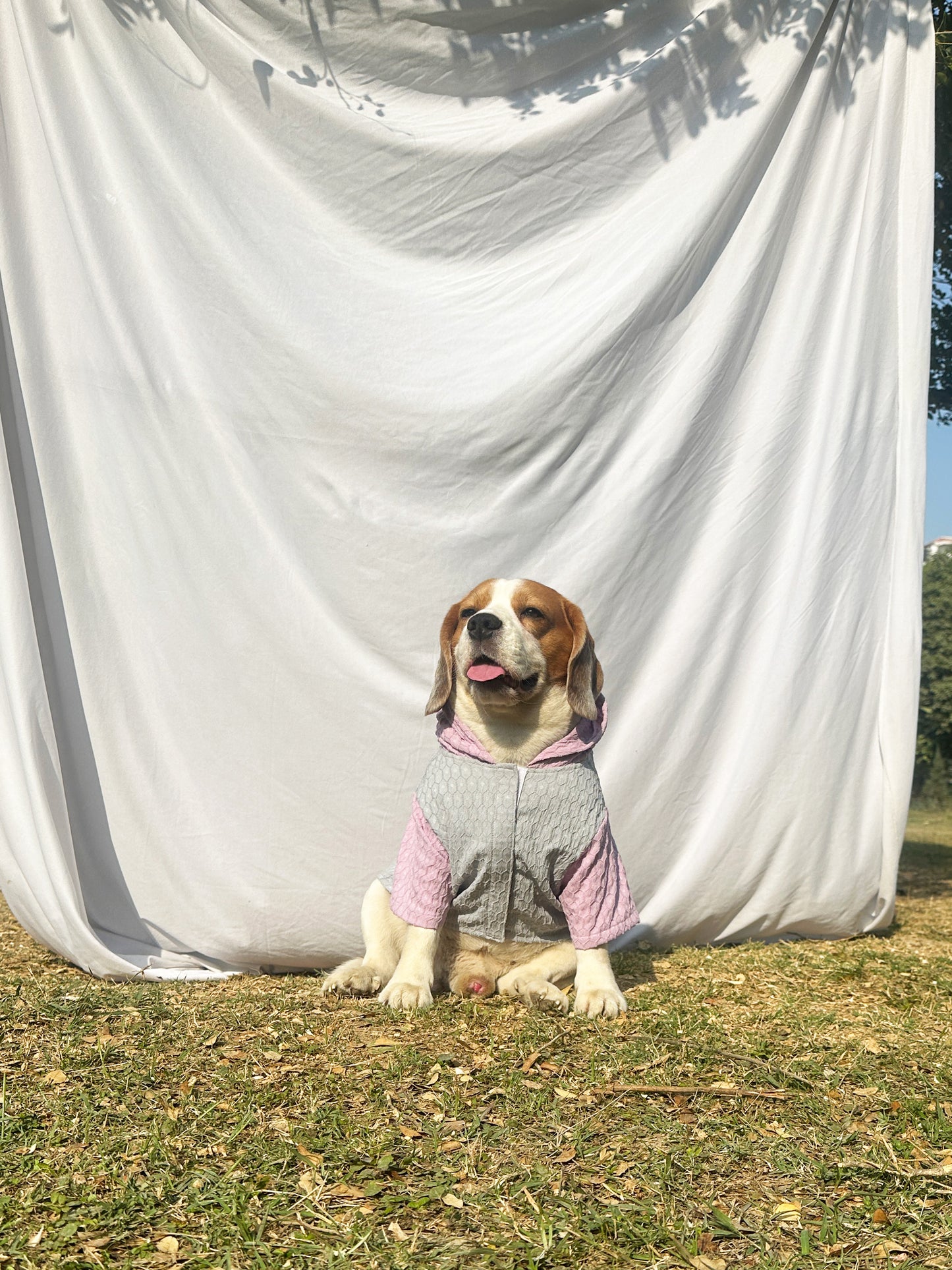 Grey Colour-blocked Hoodie Shirt