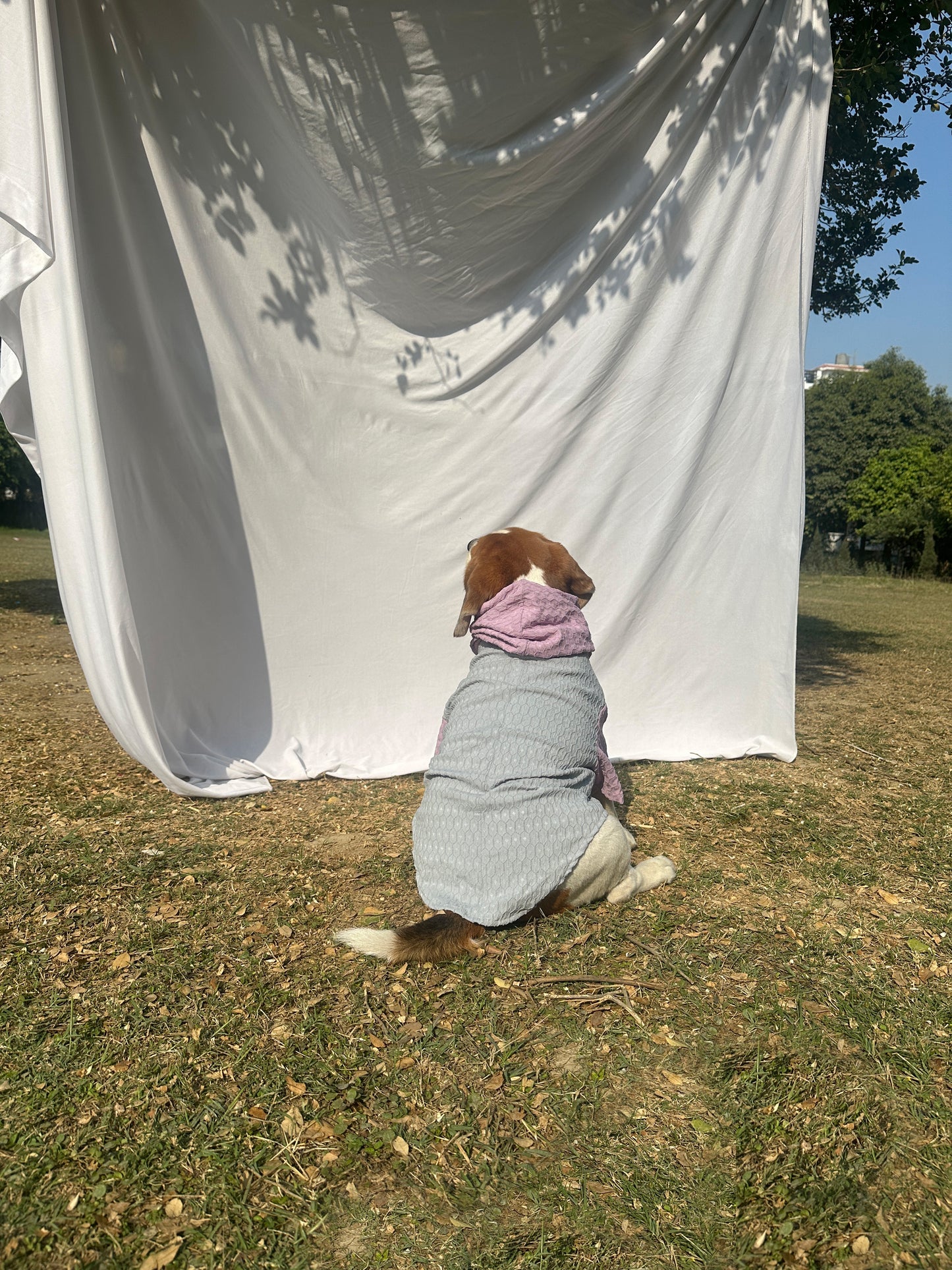 Grey Colour-blocked Hoodie Shirt