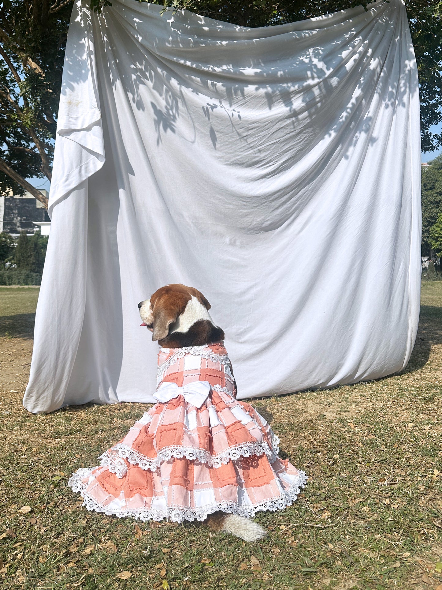 Peach Checked Dress Twinning Set