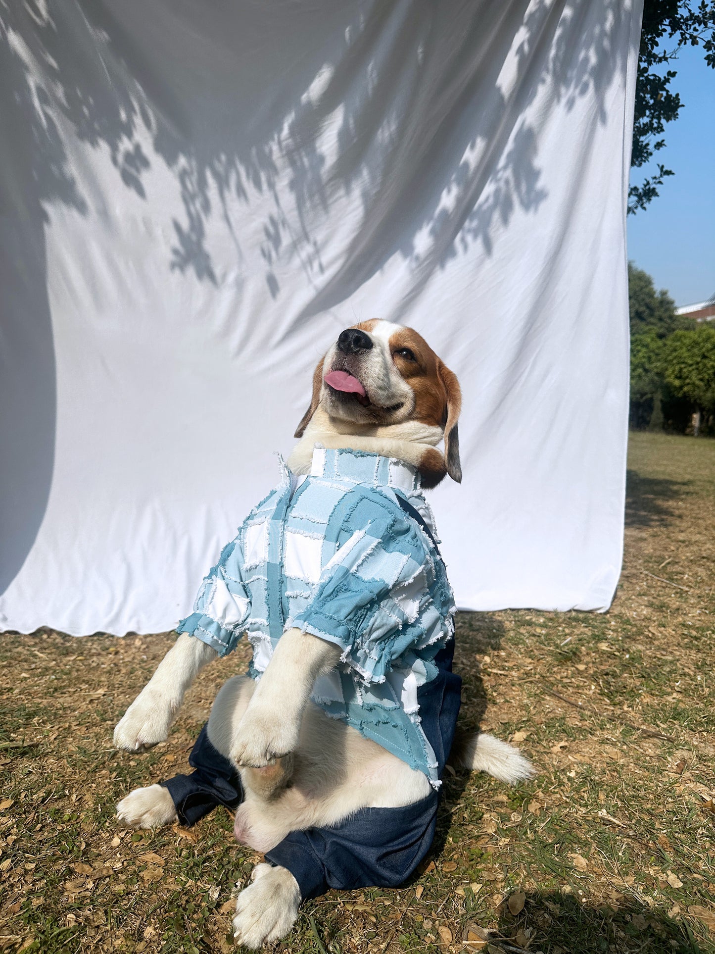 Denim Dungaree Romper