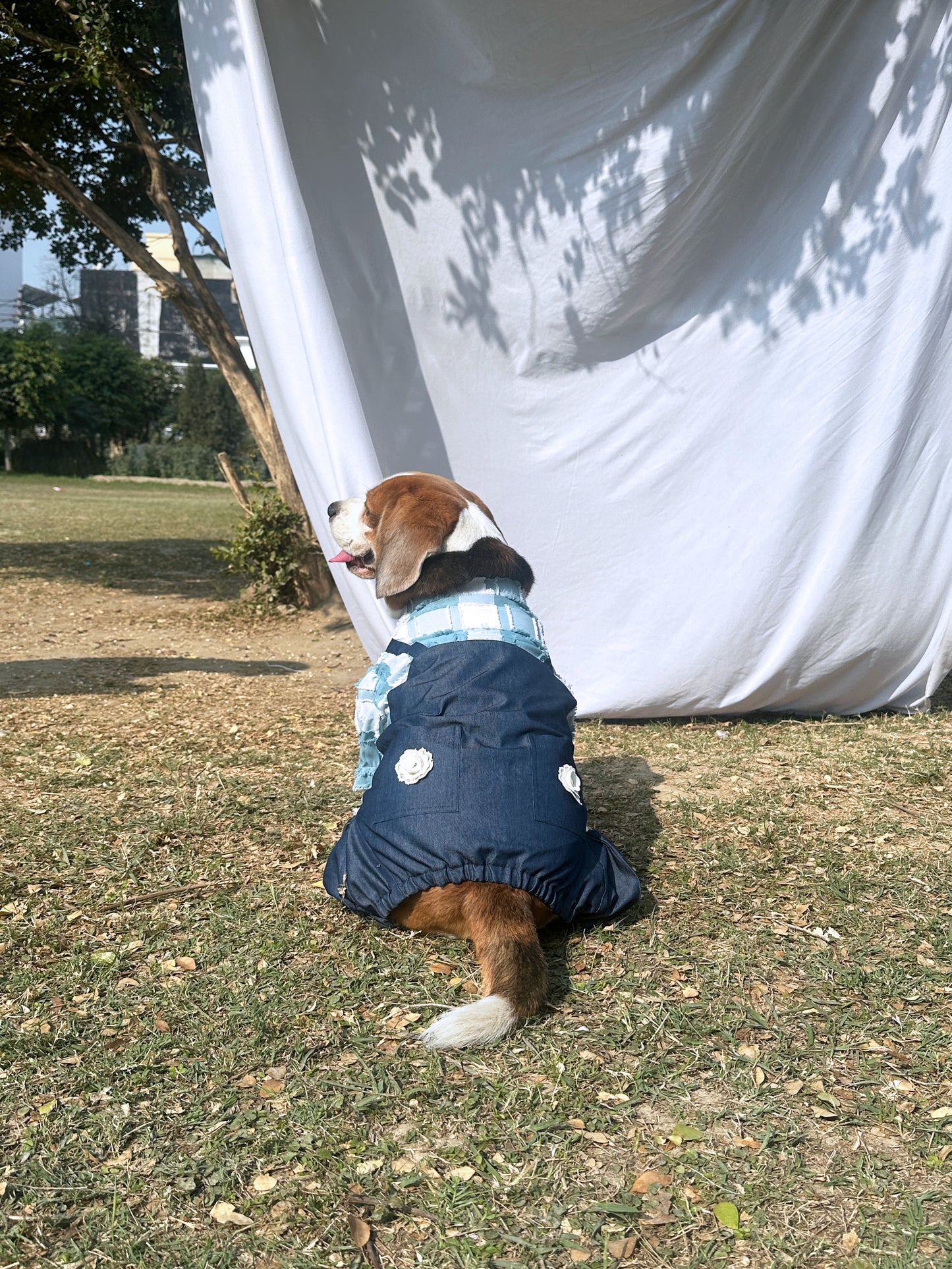 Denim Dungaree Romper