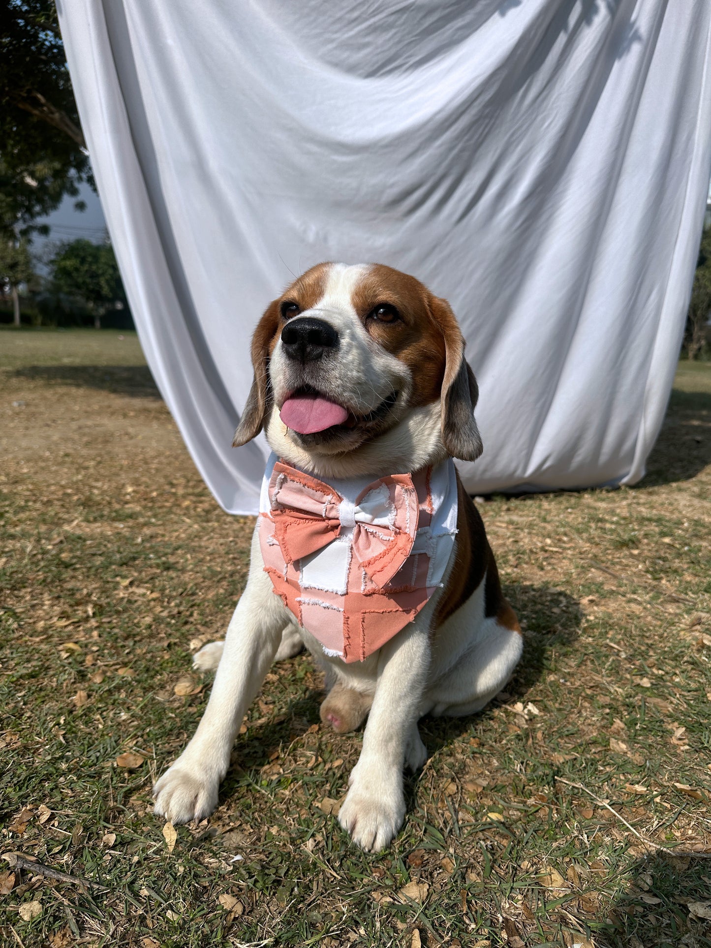 Peach Checked Bandana