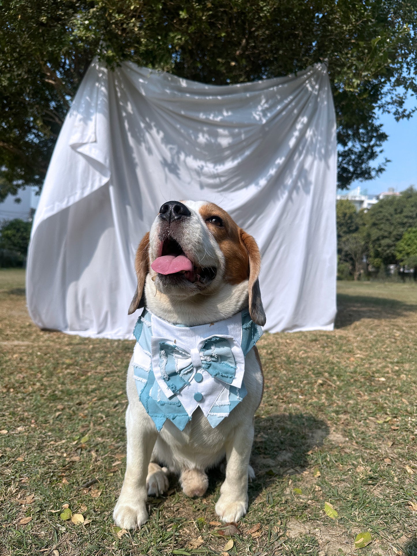 Teal Checked Twinning Set