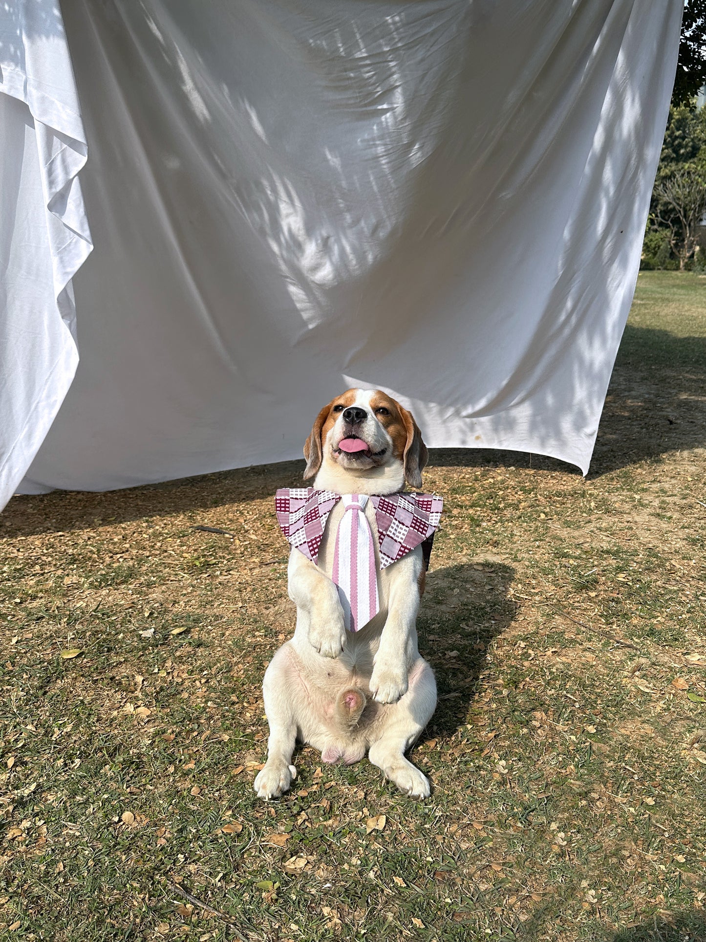 Red Sailor Collar with Tie