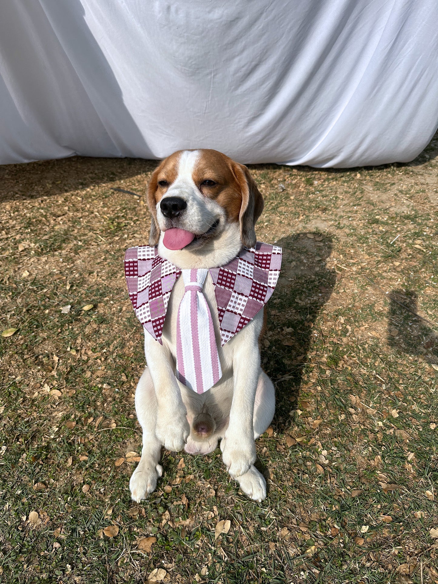 Red Sailor Collar with Tie
