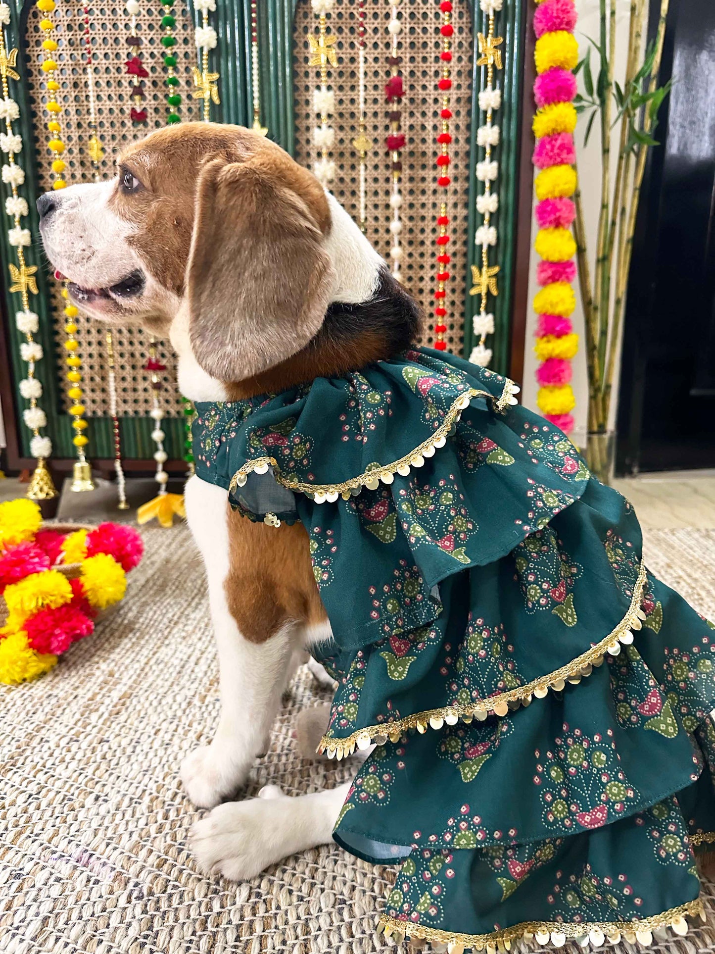 Green Floral Kurta dress Twinning set