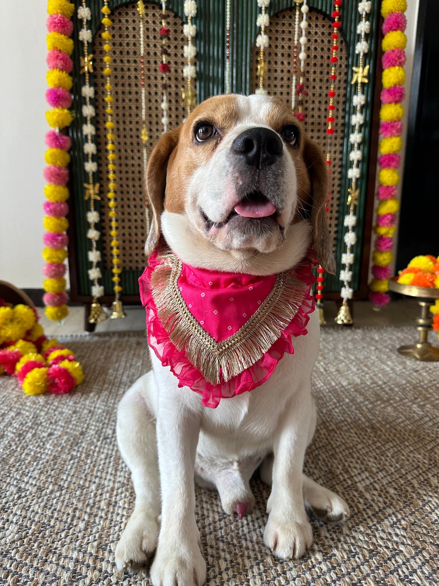 Pink Bandhani Bandana