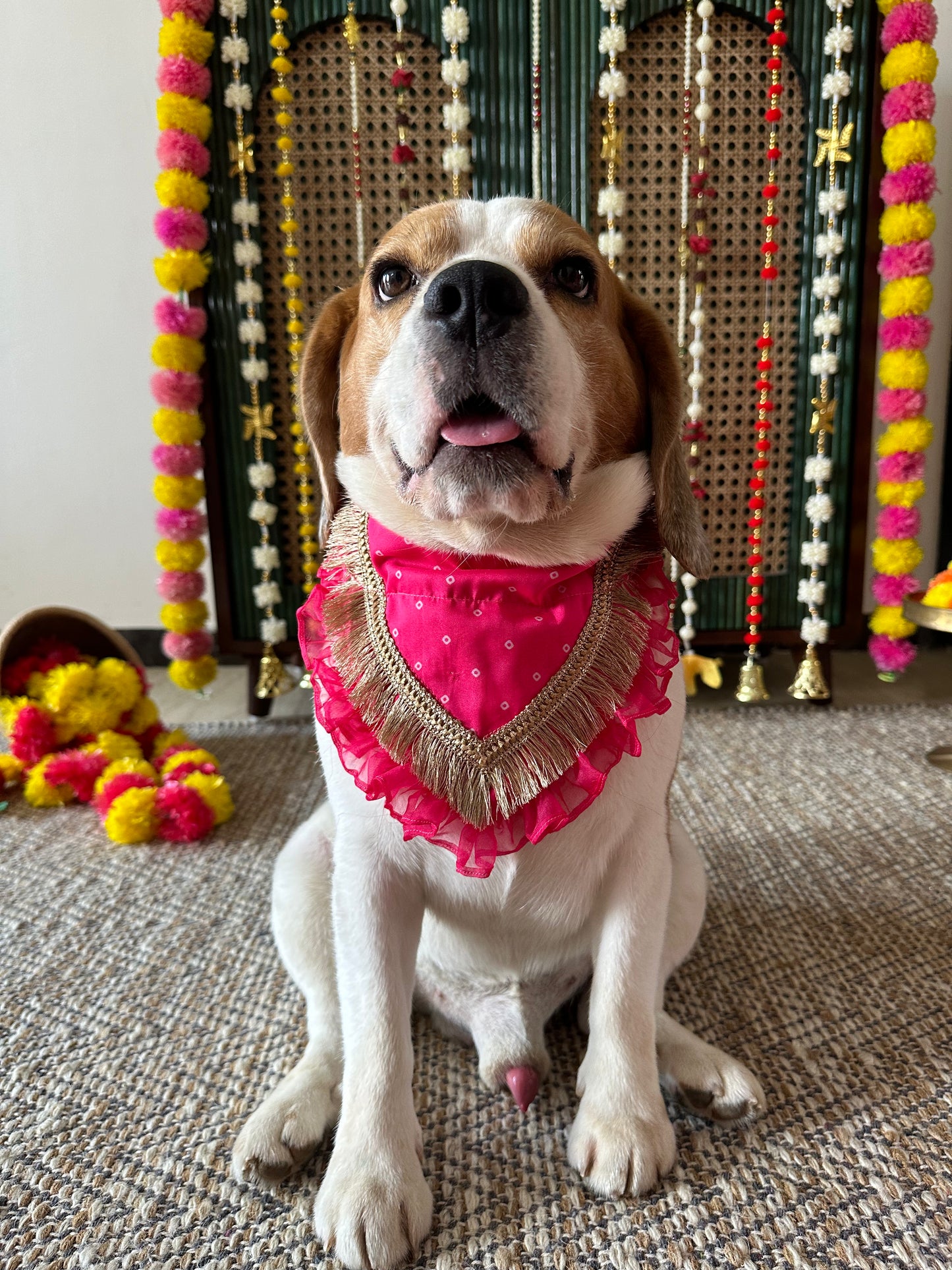 Pink Bandhani Bandana