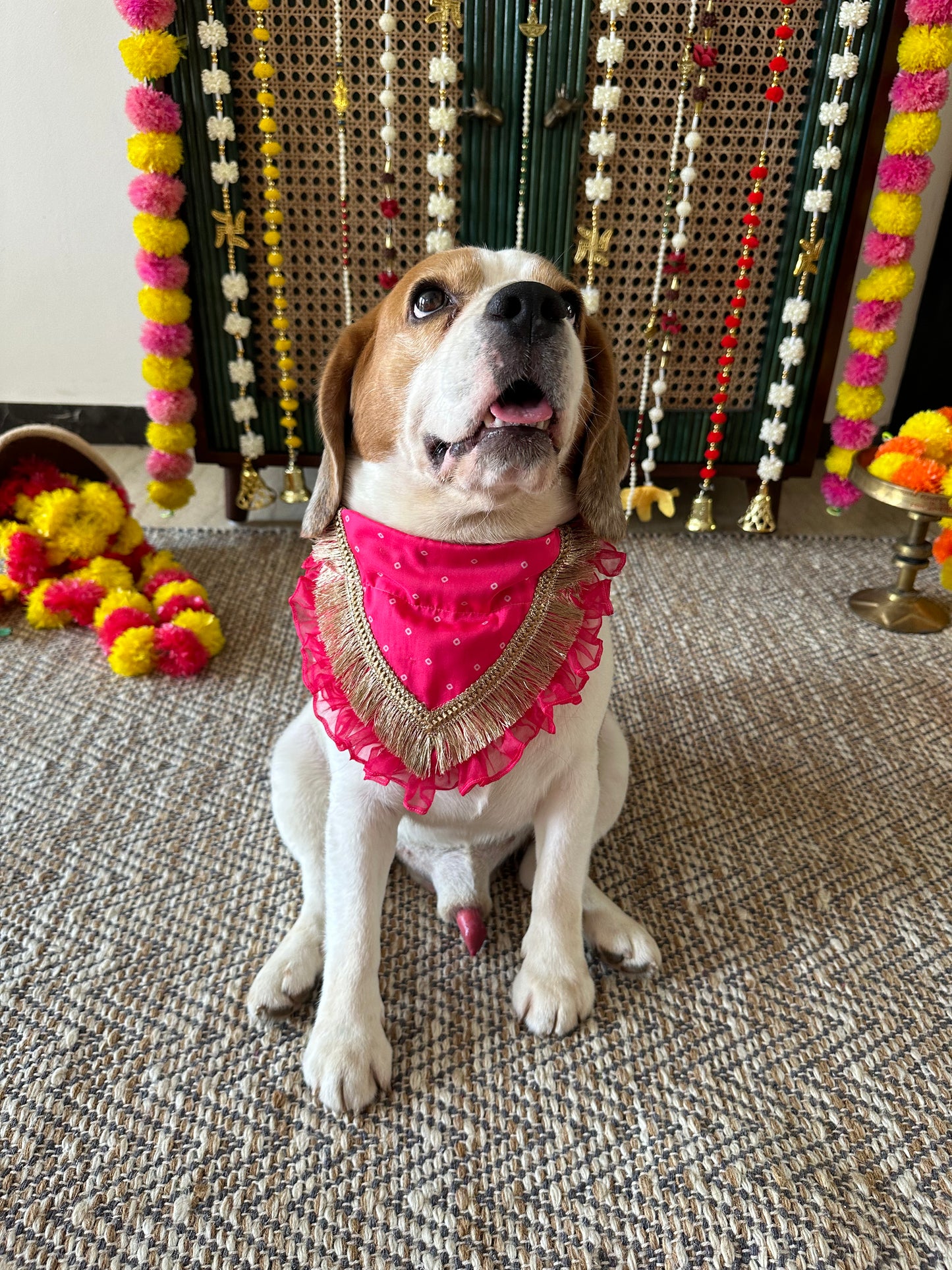 Pink Bandhani Bandana
