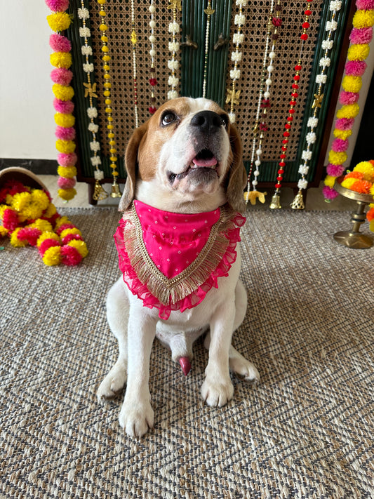 Pink Bandhani Bandana