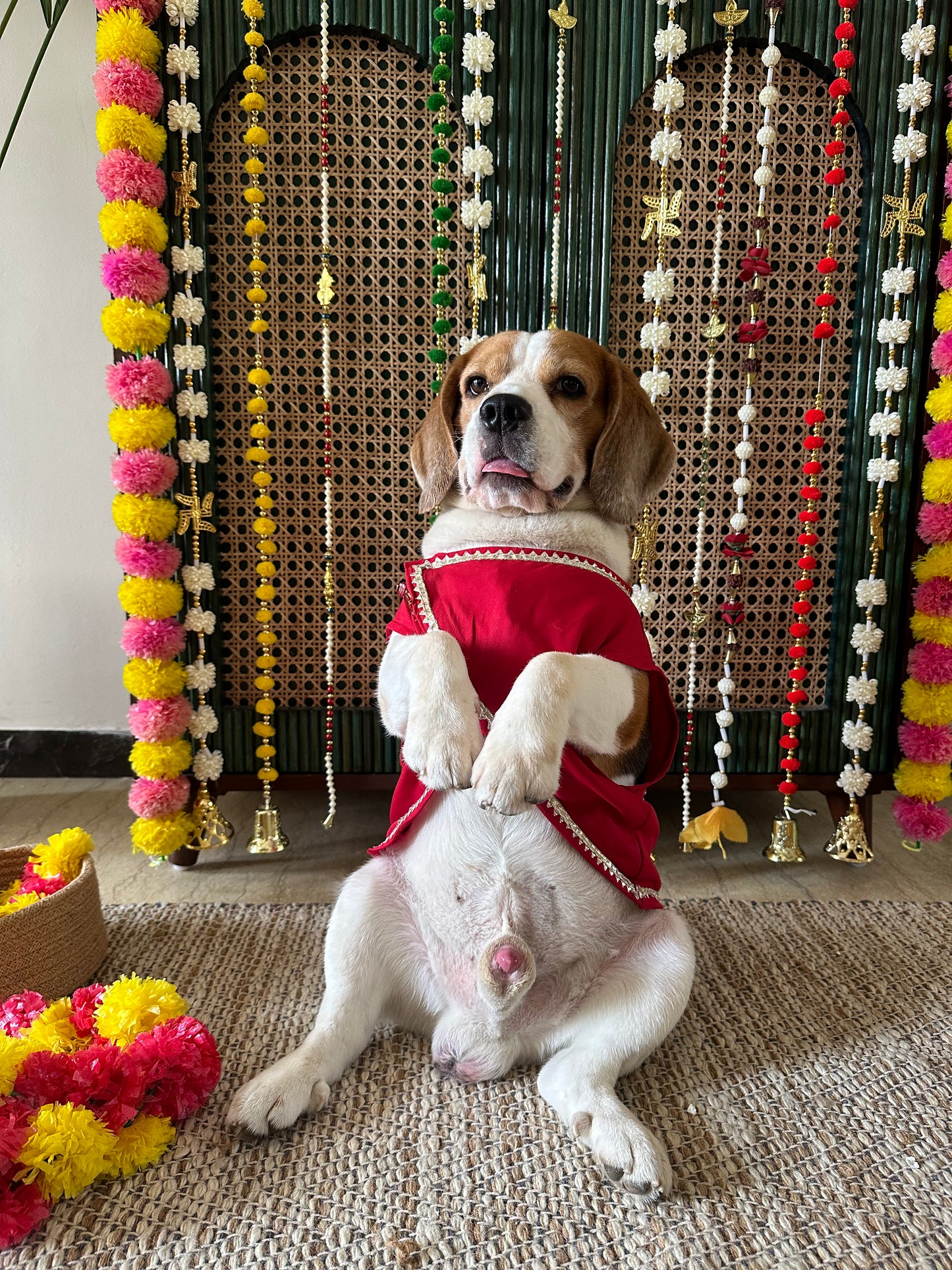 Red Nehru Jacket set