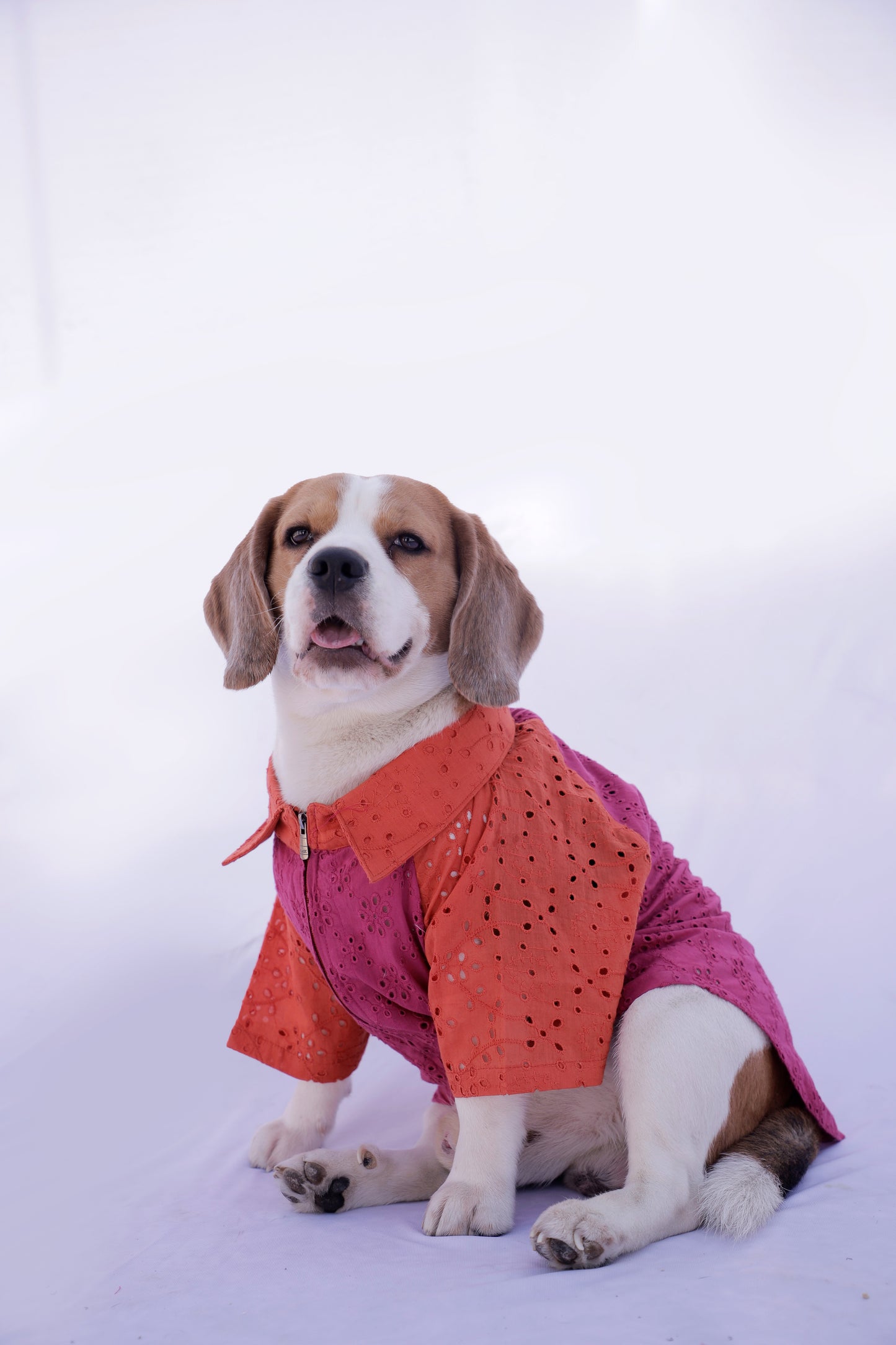 Pink Ombre Twinning set