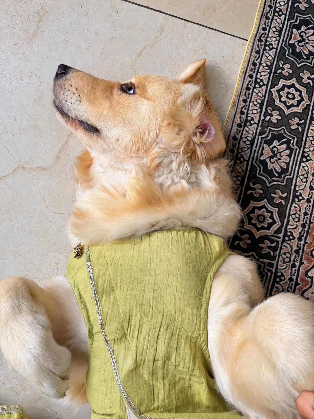 Green Sleeveless Angrakha