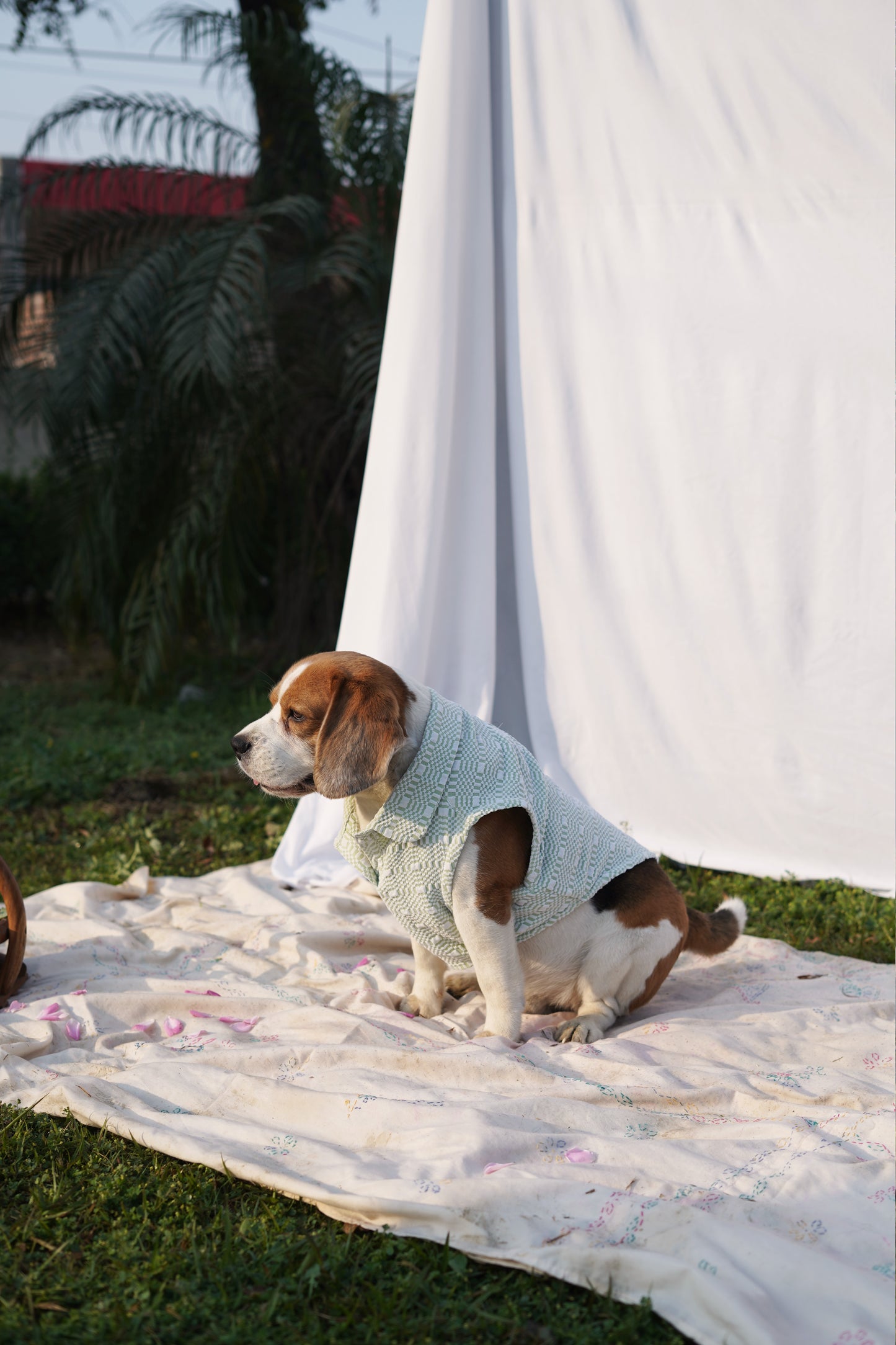 Green Sleeveless T-Shirt