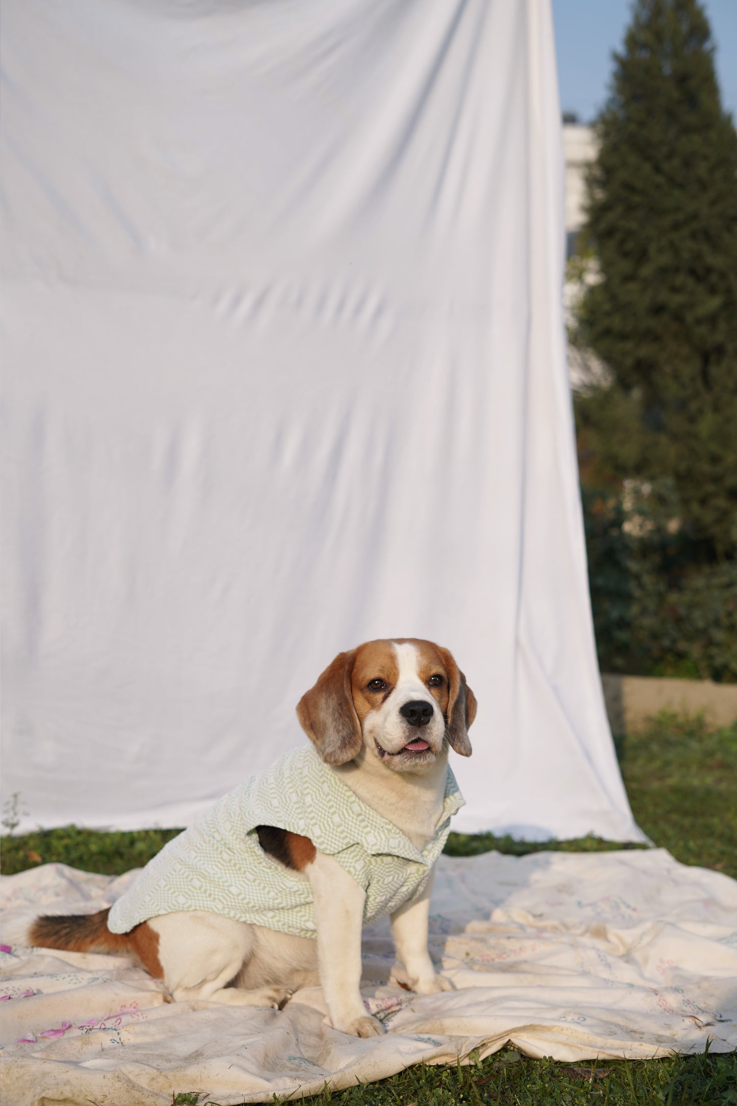 Green Sleeveless T-Shirt