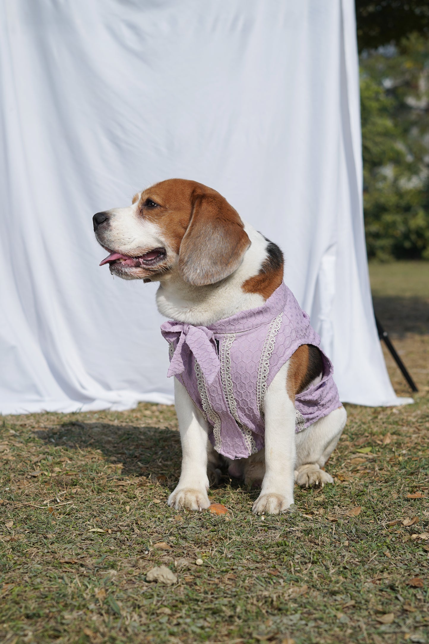 Lilac Co-ord Twinning Set