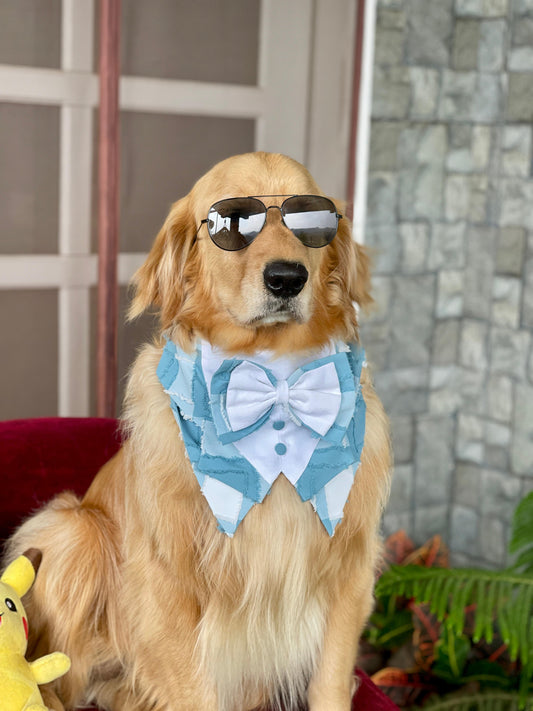 Teal Tuxedo Bandana